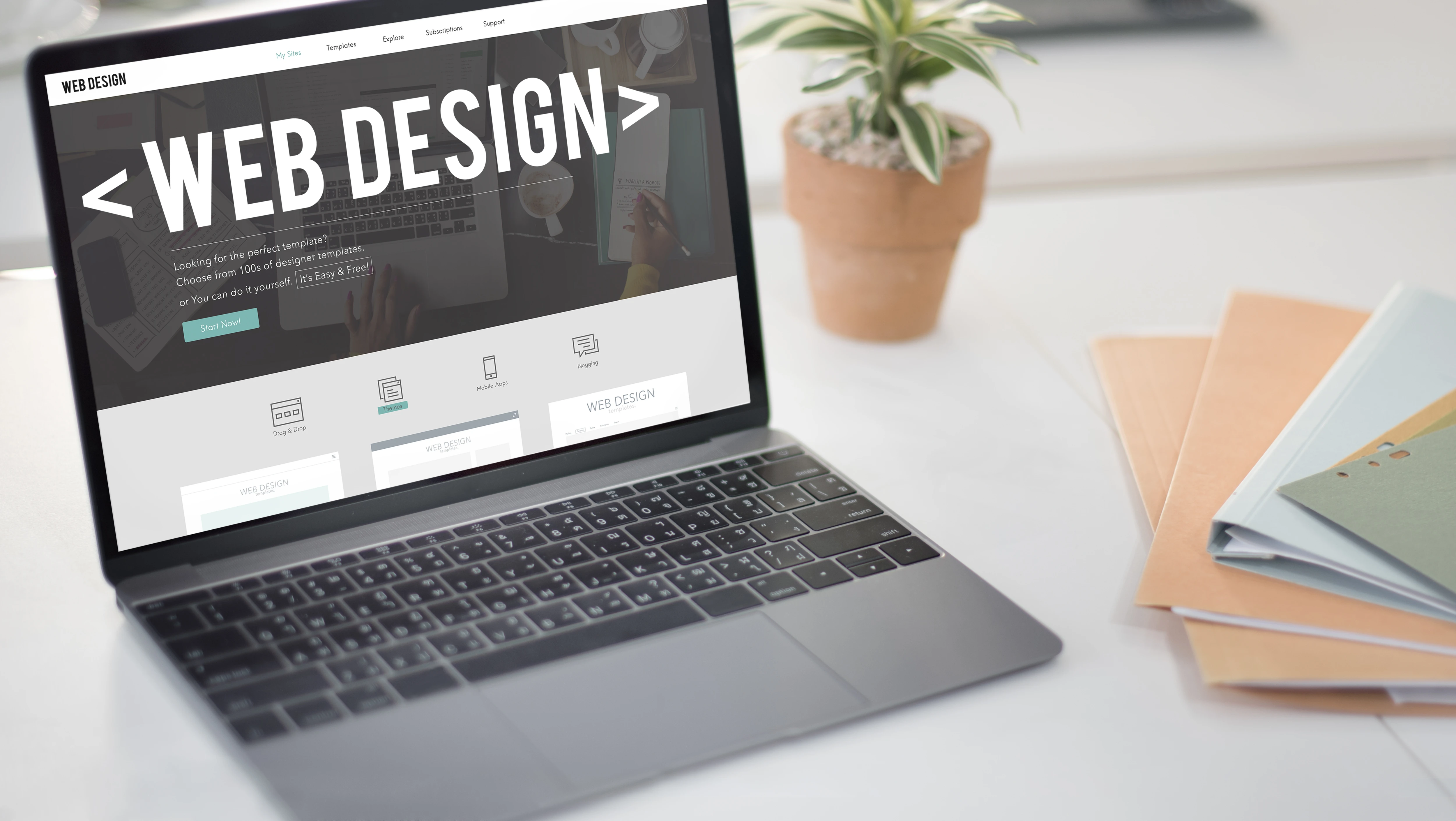 Website Design and Development